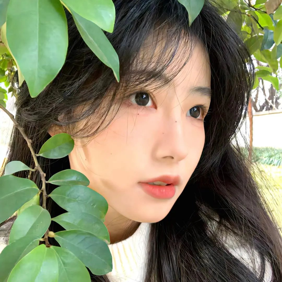 天使长 高分电影封面