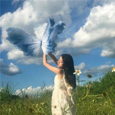 狐狸的夏天1 高分电影封面
